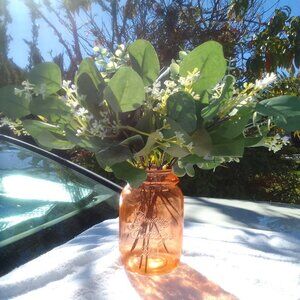 Happy Thanksgiving! Luxury-design country pot gorgeous eucalyptus brand new